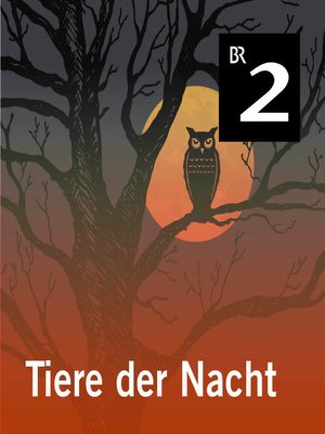 cover image of Tiere der Nacht